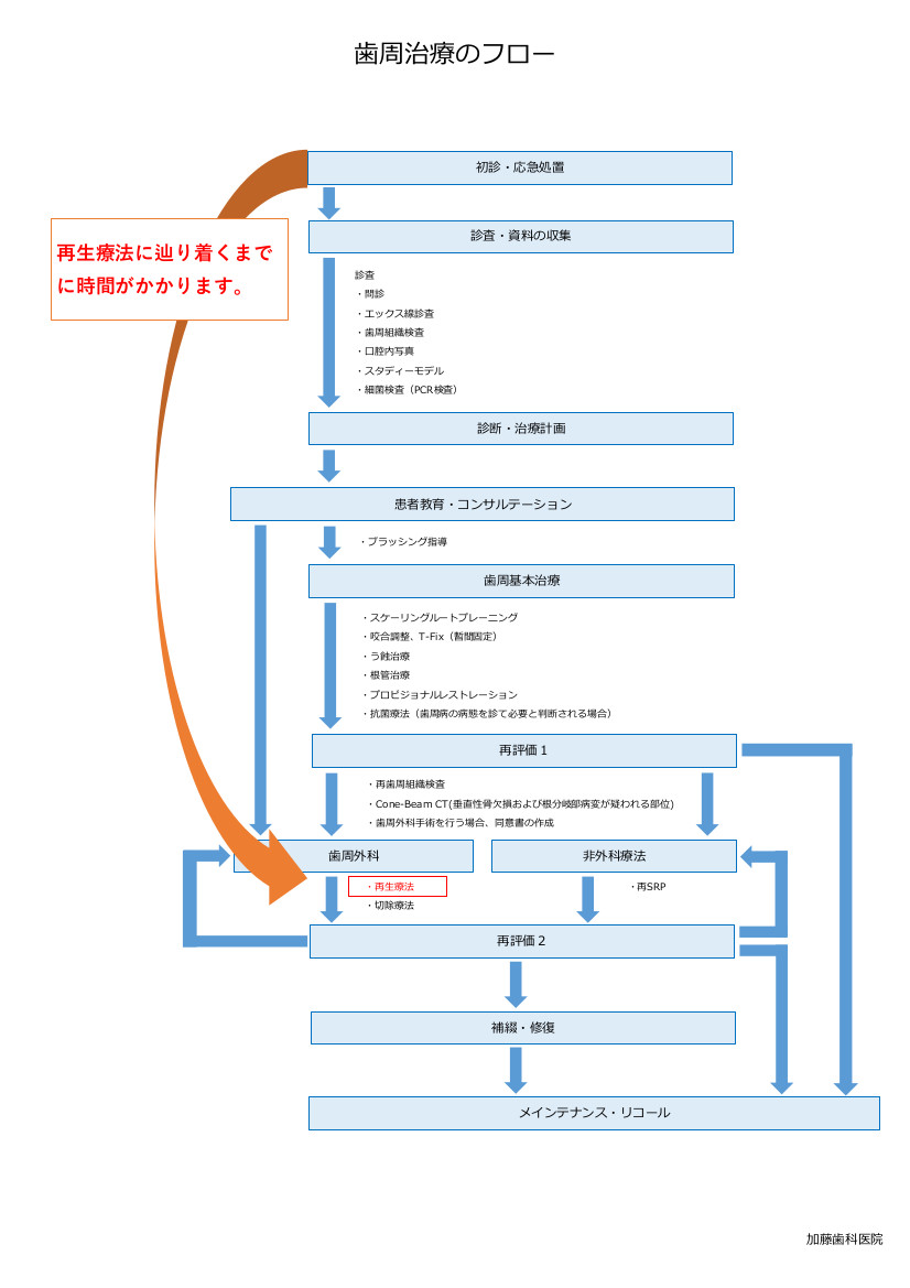 歯周治療のフロー