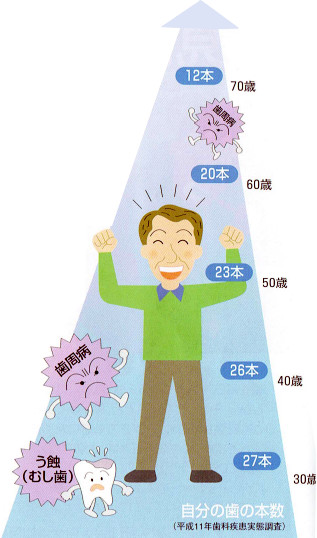 歯の寿命について