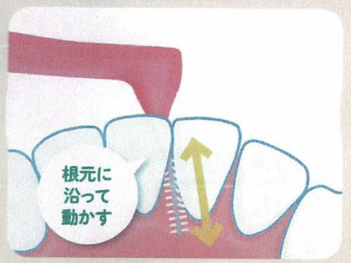 歯間ブラシの動かし方　その５