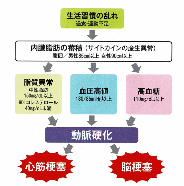 メタボリックシンドロームの起こり方