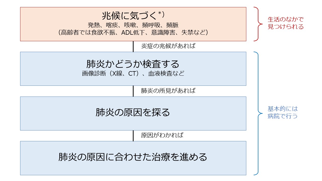 肺炎の兆候に気づき、治療に至るまでの流れ